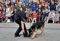 Polizeishow   039